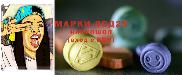 индика Балахна