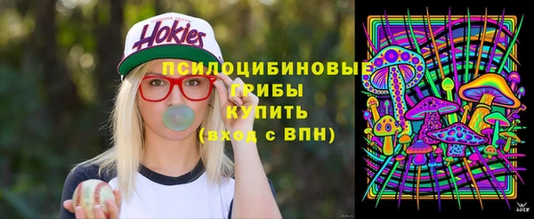 ГАЛЛЮЦИНОГЕННЫЕ ГРИБЫ Беломорск