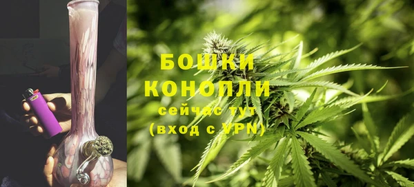 бошки Белокуриха